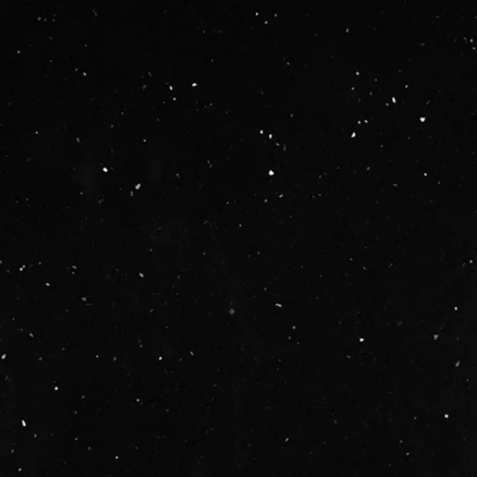 Starry Black