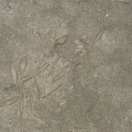 Tiles fossil green