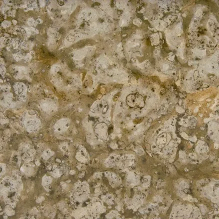 Tiles nocino